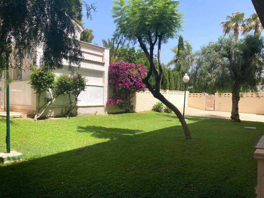 Apartamento Con Piscina Y Parking El Campello Dış mekan fotoğraf